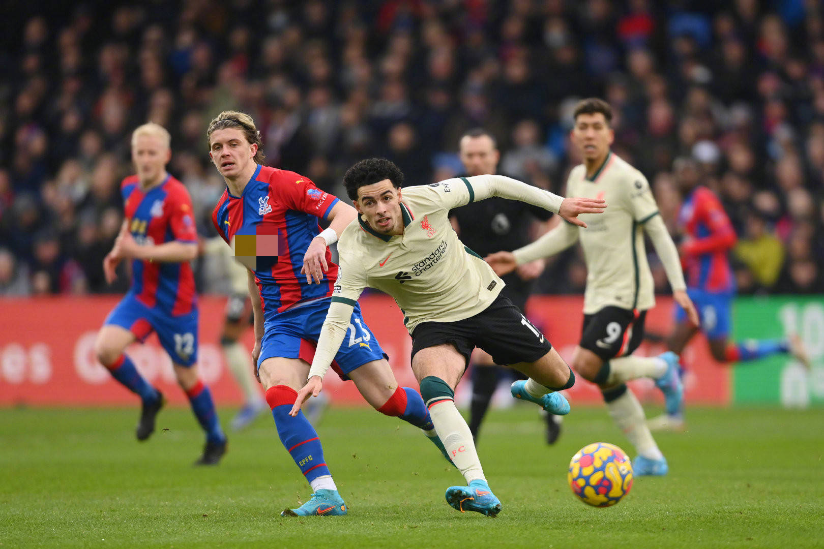 不仅仅是中 不仅仅是中