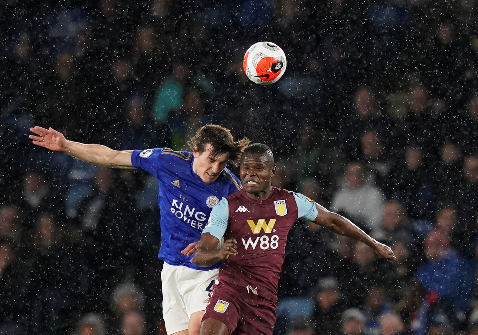 仅丰富了比 仅丰富了比